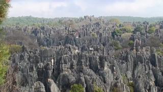 Kunming Stone Forest Time Travel
